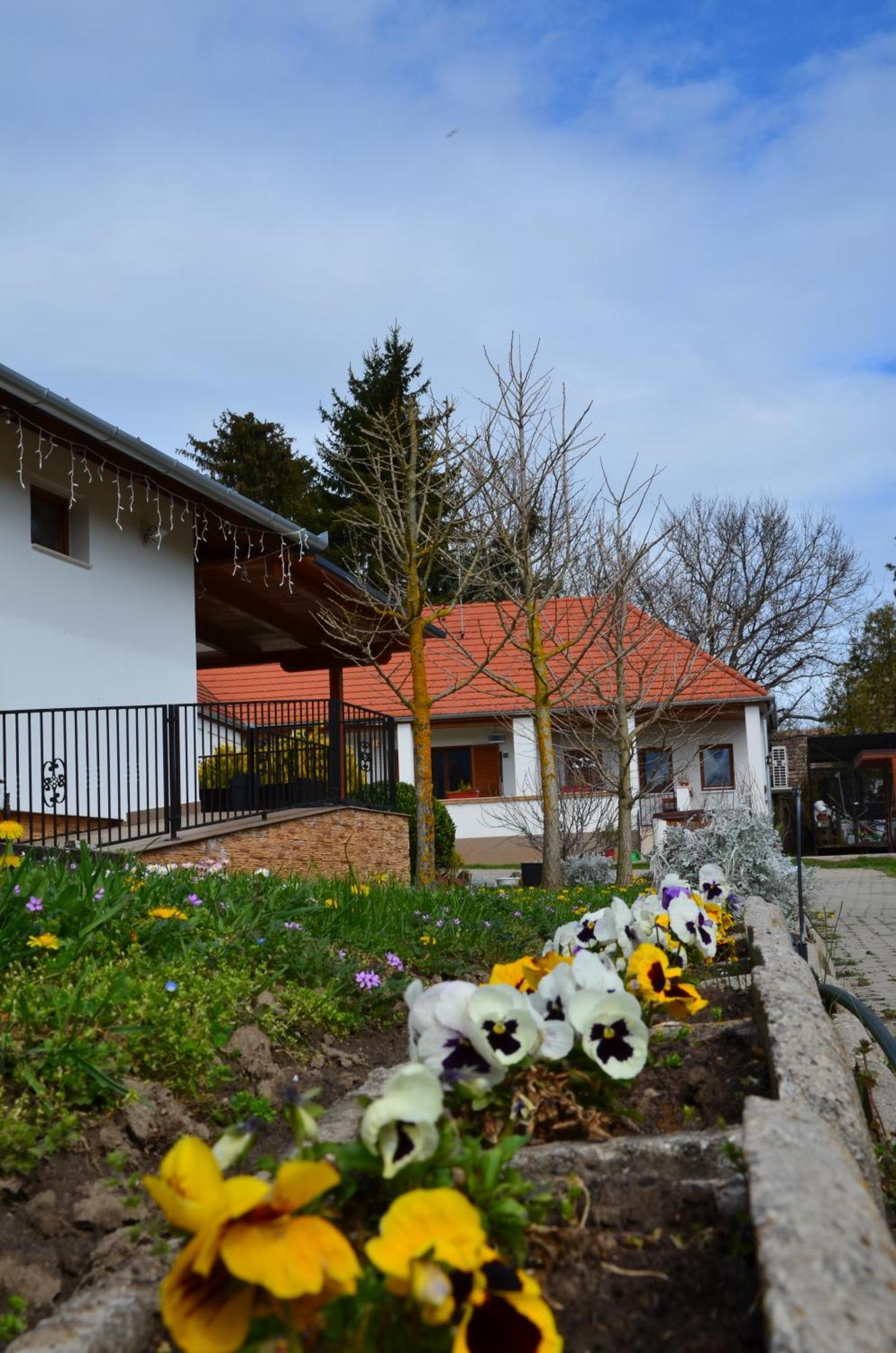 Hotel Kerekerdo Vendeghaz Kisszékely Esterno foto